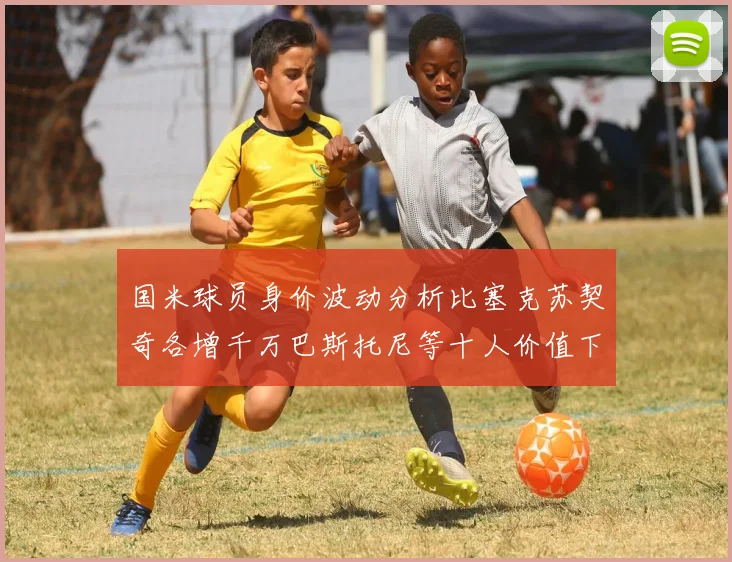 国米球员身价波动分析比塞克苏契奇各增千万巴斯托尼等十人价值下滑