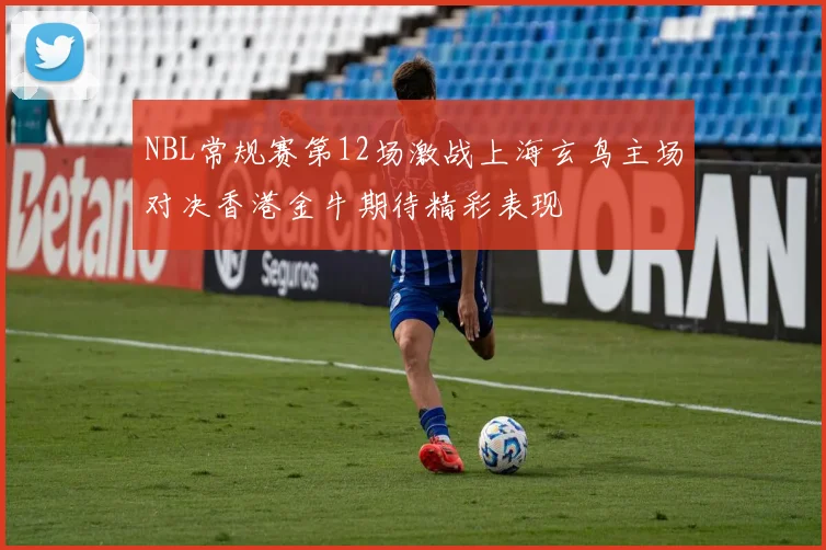 NBL常规赛第12场激战上海玄鸟主场对决香港金牛期待精彩表现